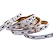RGBW LED Streifen 5050 60LED/m - Farbwechselnd